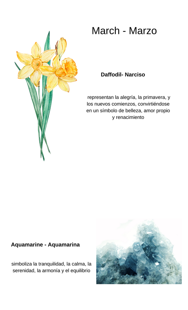 Aquamarine Berenice Necklace
