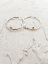 Holly Ring