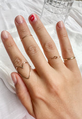 In Knots Ring