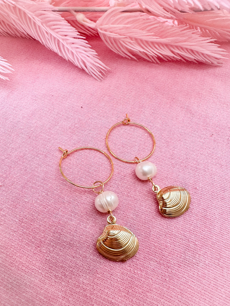 Shell  Earrings