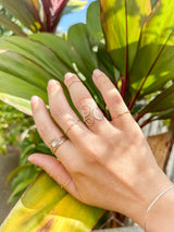 Miriam Ring