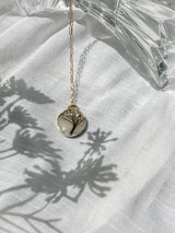 Collar de Árbol de Conexión