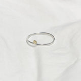 Holly Ring