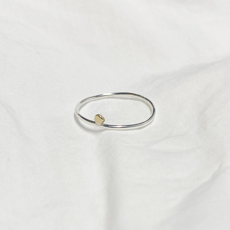 Holly Ring