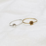 Shell Ring