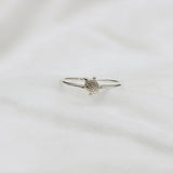 Turtle Ring